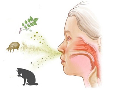 Вдыхание аллергенов